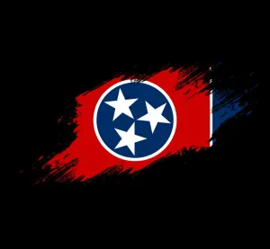 Tennessee Flag Paint Swatch T-Shirt